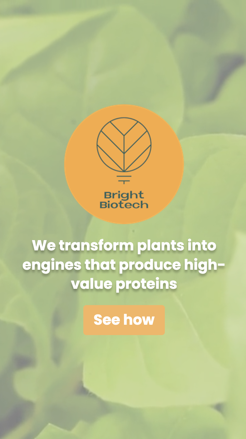 Bright Biotech website